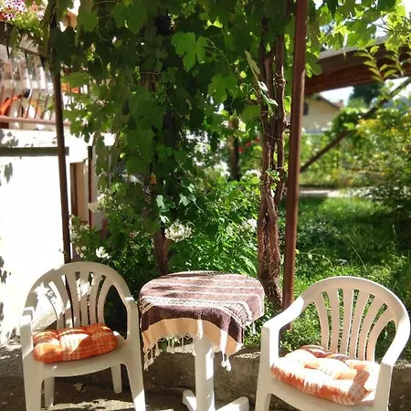 Apartman Goga *